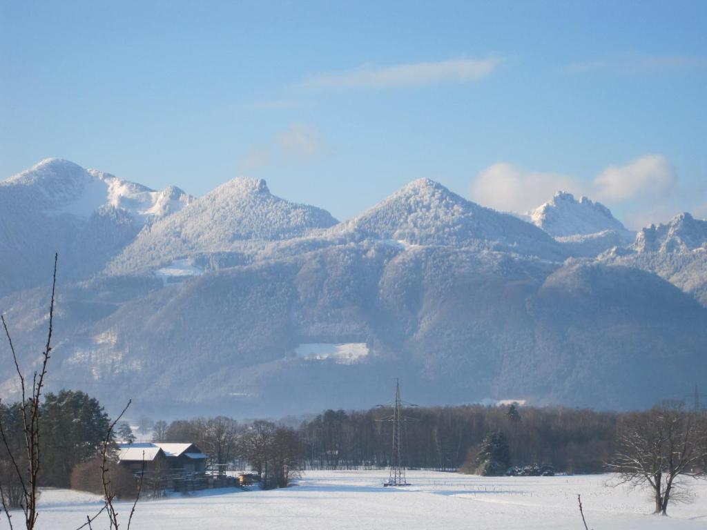 Hotel Zur Schonen Aussicht Übersee Zewnętrze zdjęcie